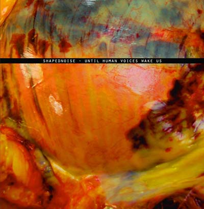 Until Human Voices Wake Us [Import] | Mint (M) Mint (M) Get Cheap Vinyl