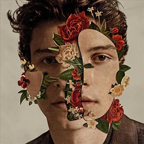 Shawn Mendes (Standard Edition) | Mint (M) Mint (M) Get Cheap Vinyl