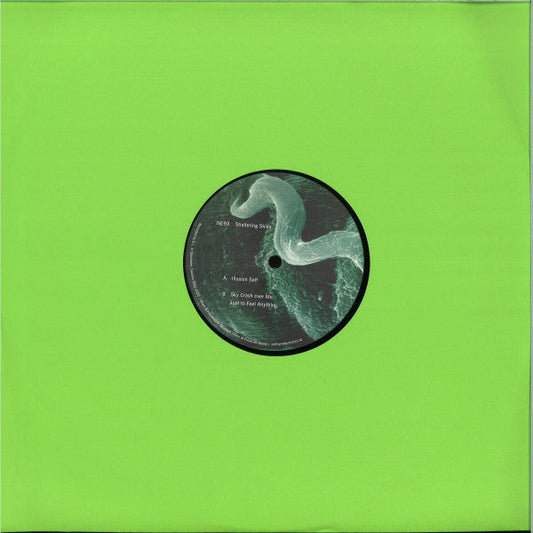 Sheltering Skies | Mint (M) Mint (M) Get Cheap Vinyl