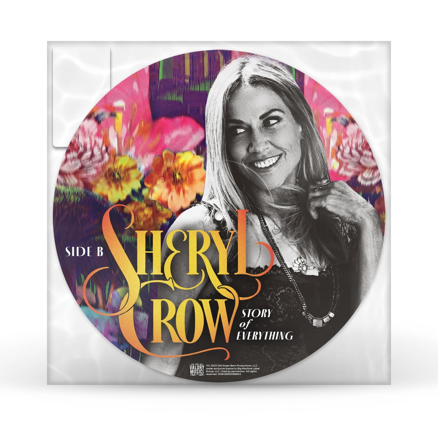 Story Of Everything (Picture Disc) | Mint (M) Mint (M) Get Cheap Vinyl