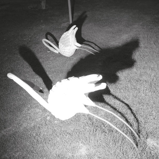 A Mimesis of Nothingness [Import] (WHITE VINYL) | Mint (M) Mint (M) Get Cheap Vinyl