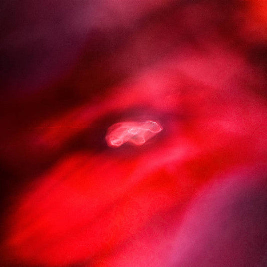 The Faded Orbit | Mint (M) Mint (M) Get Cheap Vinyl