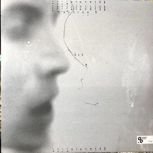 Invisibility Chapter I / Invisibility Chapter II | Mint (M) Mint (M) Get Cheap Vinyl