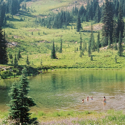 Great Big Wild Oak | Mint (M) Mint (M) Get Cheap Vinyl