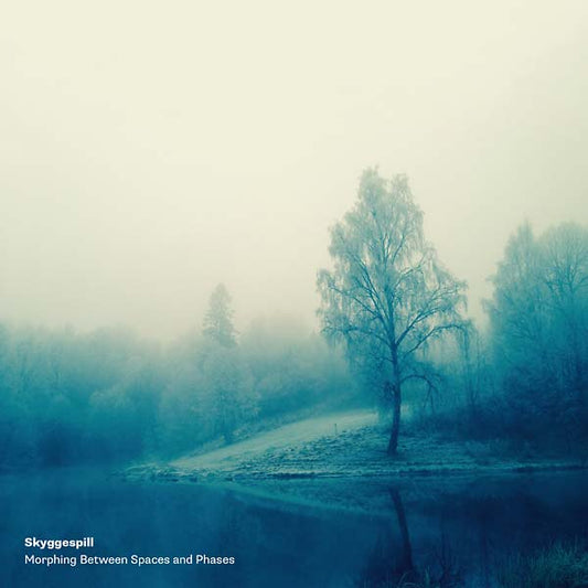 Morphing Between Spaces and Phases (VINYL + CD) | Mint (M) Mint (M) Get Cheap Vinyl