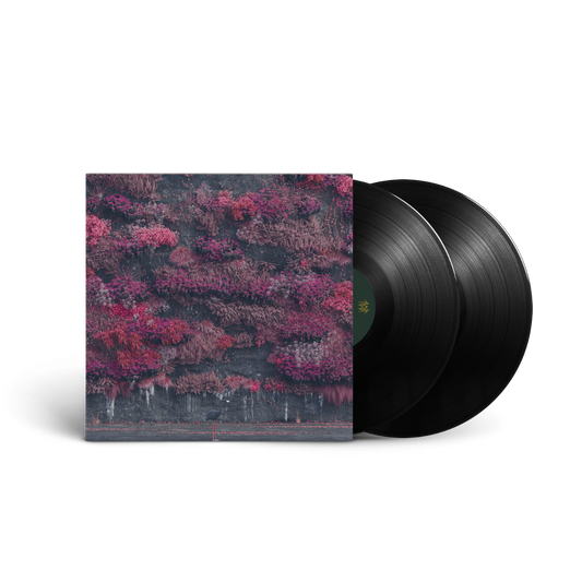 Even In Arcadia (2LP) | Mint (M) Mint (M) Get Cheap Vinyl