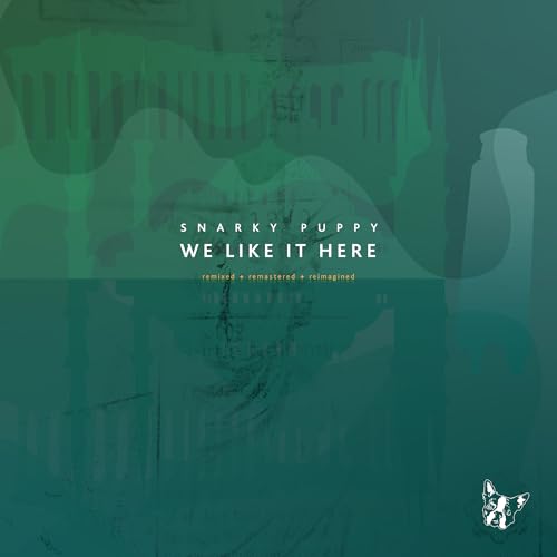 We Like It Here (Remixed + Remastered + Reimagined) | Get Cheap Vinyl