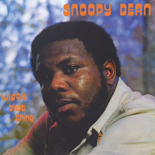 Wiggle That Thing | Get Cheap Vinyl