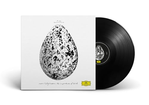 The Importance Of Birds [12" Ep] | Get Cheap Vinyl