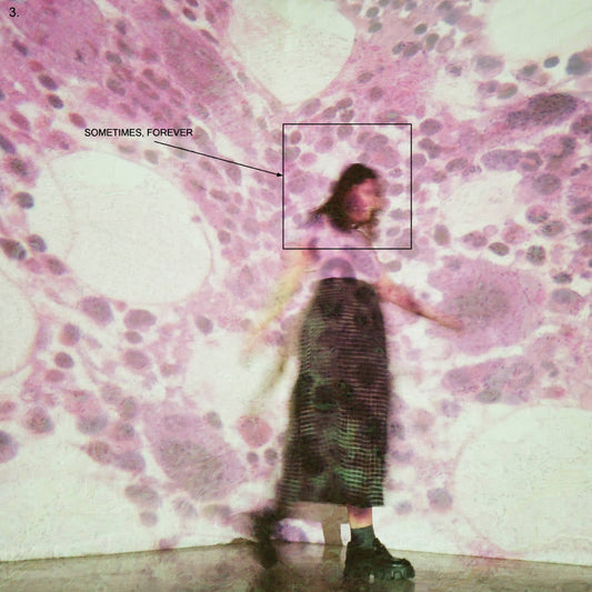 Sometimes, Forever (Color Vinyl) | Mint (M) Mint (M) Get Cheap Vinyl