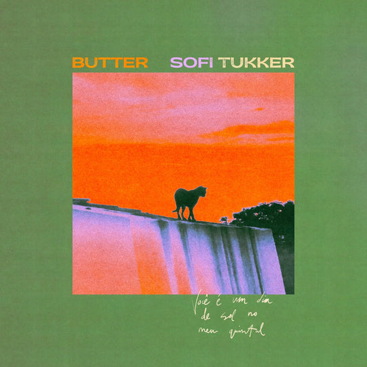 Butter (PRE-ORDER 8/22/25)(LP) | Mint (M) Mint (M) Get Cheap Vinyl
