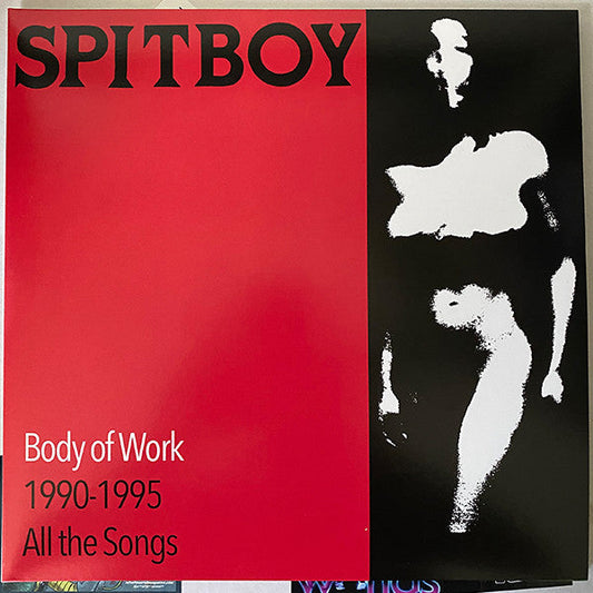Body Of Work 1990 - 1995 All The Songs | Mint (M) Mint (M) Get Cheap Vinyl