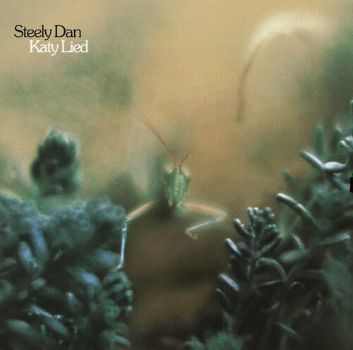 Katy Lied (180 Gram Vinyl) | Mint (M) Mint (M) Get Cheap Vinyl