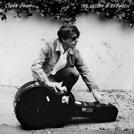The Unseen In Between (VINYL) | Mint (M) Mint (M) Get Cheap Vinyl