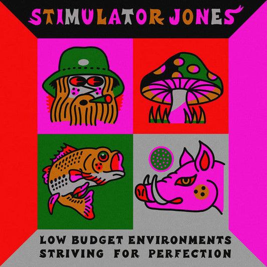 Low Budget Environments Striving For Perfection | Mint (M) Mint (M) Get Cheap Vinyl