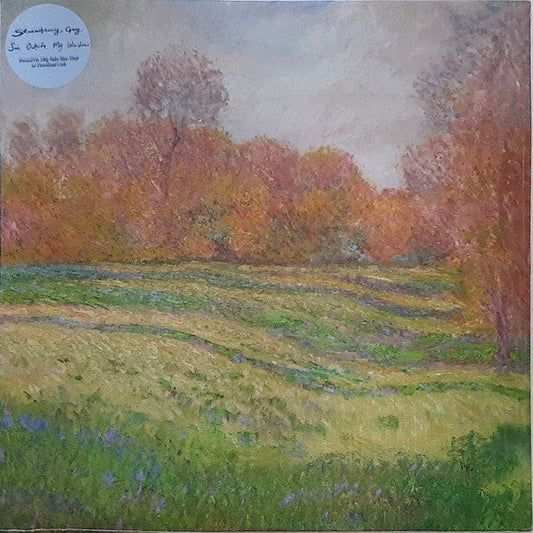 Sun Outside My Window | Mint (M) Mint (M) Get Cheap Vinyl