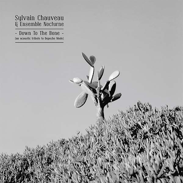 Down to the Bone (An Acoustic Tribute to Depeche Mode) | Get Cheap Vinyl