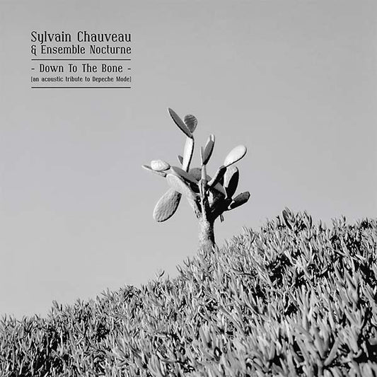 Down to the Bone (An Acoustic Tribute to Depeche Mode) | Get Cheap Vinyl