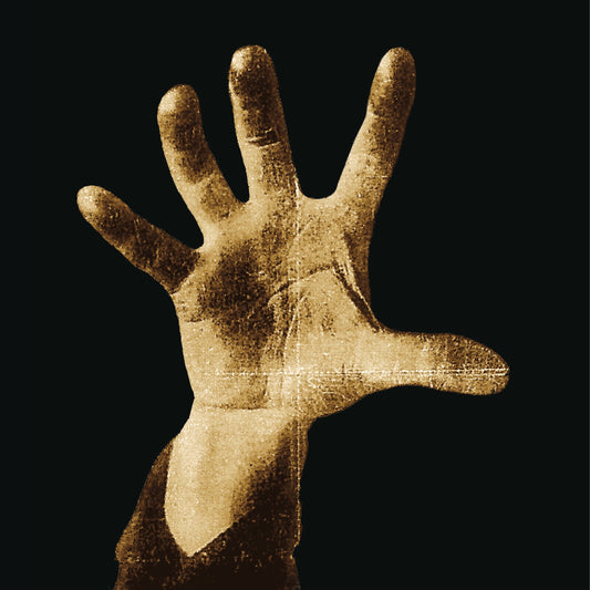 System Of A Down (140g Vinyl) | Mint (M) Mint (M) Get Cheap Vinyl