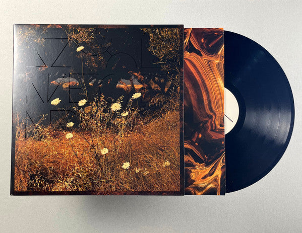 Earth Patterns | Mint (M) Mint (M) Get Cheap Vinyl