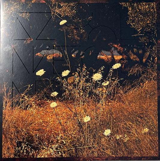 Earth Patterns | Mint (M) Mint (M) Get Cheap Vinyl