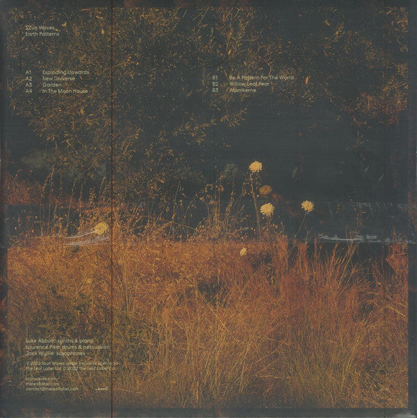 Earth Patterns | Mint (M) Mint (M) Get Cheap Vinyl