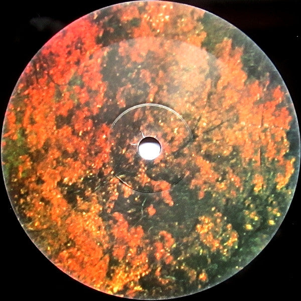 Innerspeaker | Mint (M) Mint (M) Get Cheap Vinyl