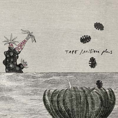 Milieu Plus | Get Cheap Vinyl