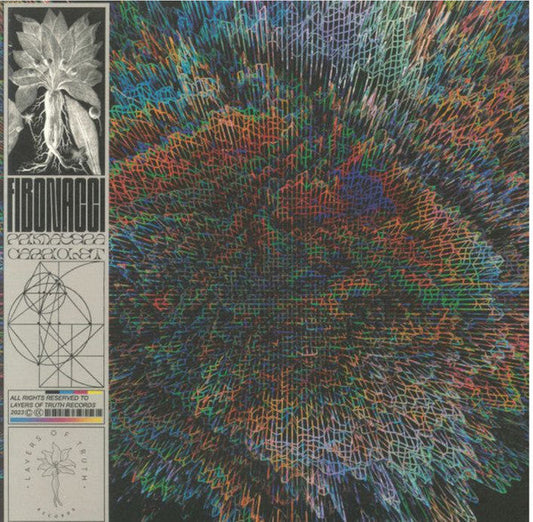 Primavera Cabriolet | Mint (M) Mint (M) Get Cheap Vinyl