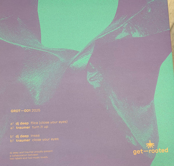 Get-Rooted 01 (VINYL) | Mint (M) Mint (M) Get Cheap Vinyl