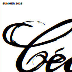 CÉCILLE SUMMER 2025 (2xVINYL) | Mint (M) Mint (M) Get Cheap Vinyl
