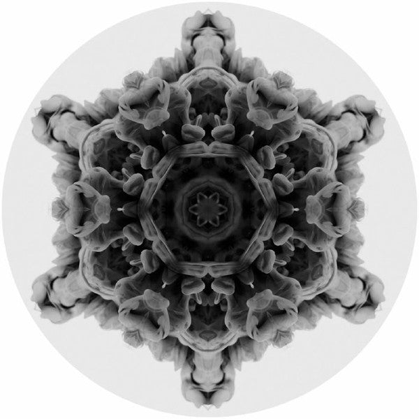 Moi (10) 12 12" Mint (M) Generic Get Cheap Vinyl