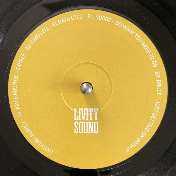 Various Molten Mirrors - A Decade Of Livity Sound 4xLP, Comp + Box Mint (M) Mint (M) Get Cheap Vinyl