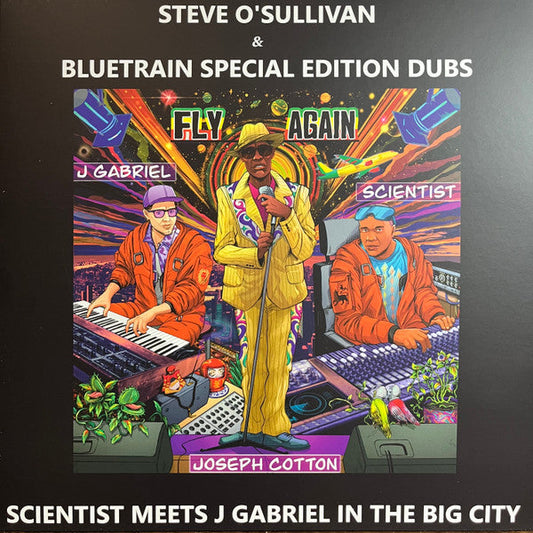 Fly Again Dub Remixes (VINYL) | Mint (M) Mint (M) Get Cheap Vinyl
