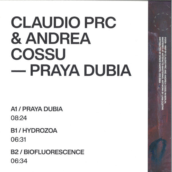 Praya Dubia (VINYL) | Mint (M) Mint (M) Get Cheap Vinyl