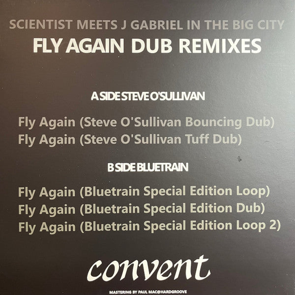 Fly Again Dub Remixes (VINYL) | Mint (M) Mint (M) Get Cheap Vinyl
