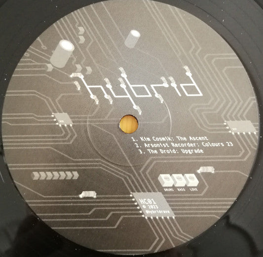 Hybrid Collective Vol. 1 | Mint (M) Generic Get Cheap Vinyl