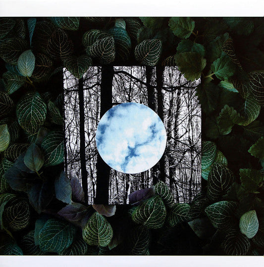 Gradual Blending (CLEAR VINYL) | Mint (M) Mint (M) Get Cheap Vinyl