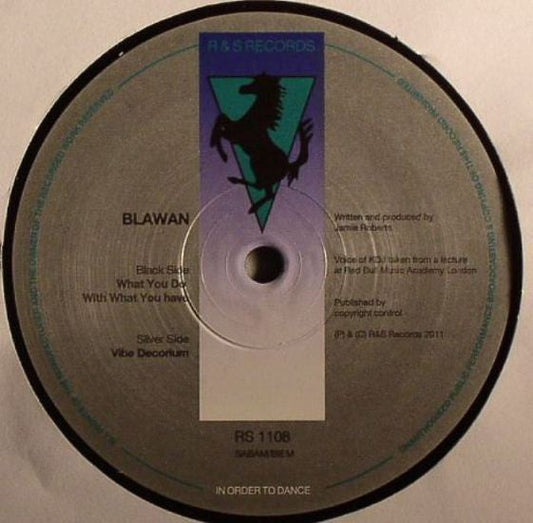 What You Do With What You Have | Mint (M) Mint (M) Get Cheap Vinyl