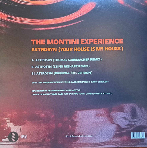 Astrosyn (Your House Is My House)(VINYL) | Mint (M) Mint (M) Get Cheap Vinyl