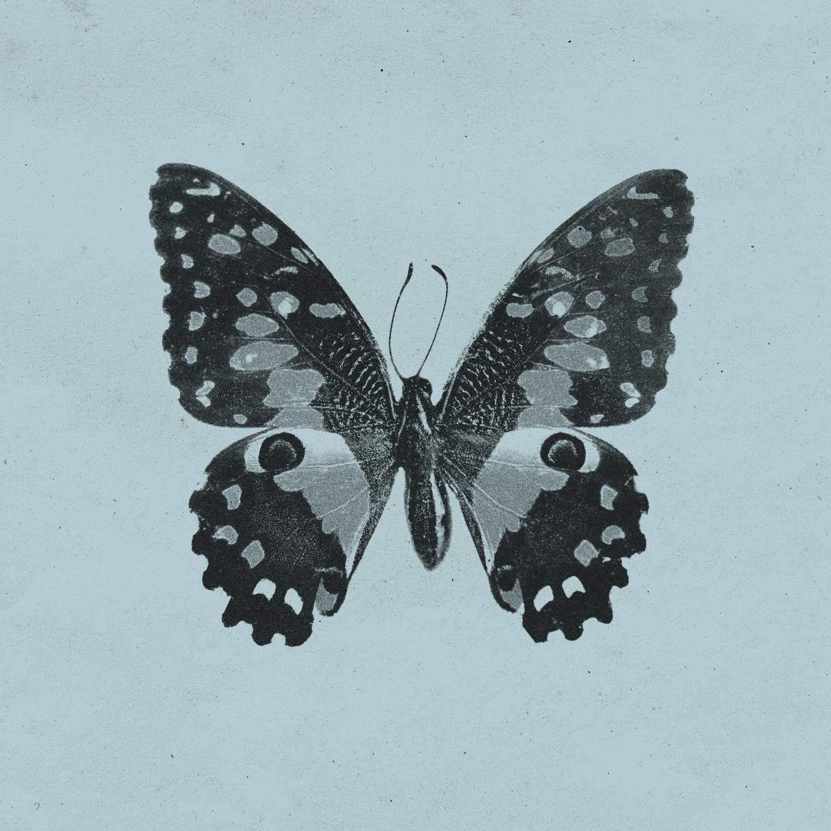 Heavens Stitched to a Frame MC (CASSETTE) | Mint (M) Mint (M) Get Cheap Vinyl