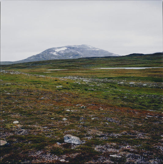 Tundra | Mint (M) Mint (M) Get Cheap Vinyl