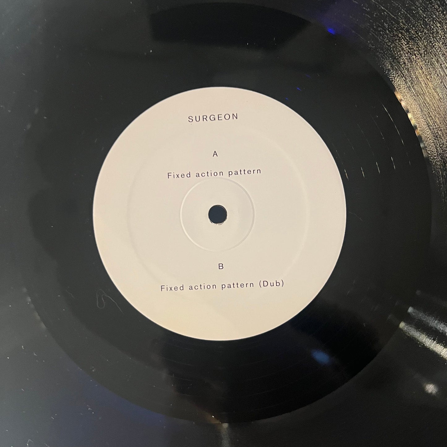 Fixed Action Pattern | Near Mint (NM) Near Mint (NM) Get Cheap Vinyl