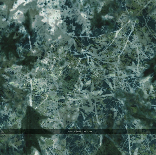 Voices From The Lake | Mint (M) Mint (M) Get Cheap Vinyl