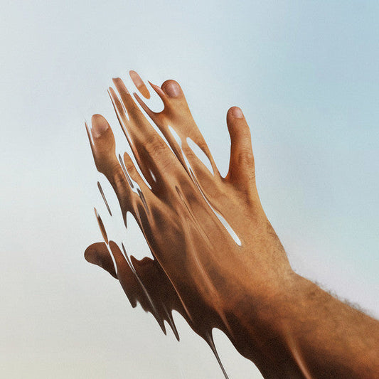 Shared Meanings | Mint (M) Mint (M) Get Cheap Vinyl