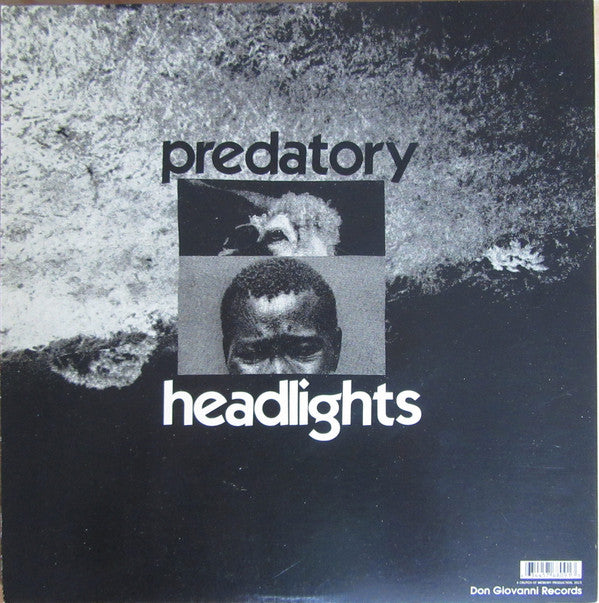 Predatory Headlights | Mint (M) Mint (M) Get Cheap Vinyl