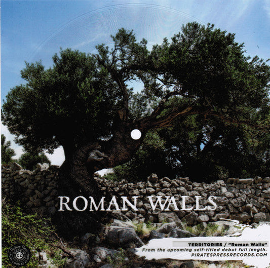 Roman Walls - 7" | Mint (M) Generic Get Cheap Vinyl