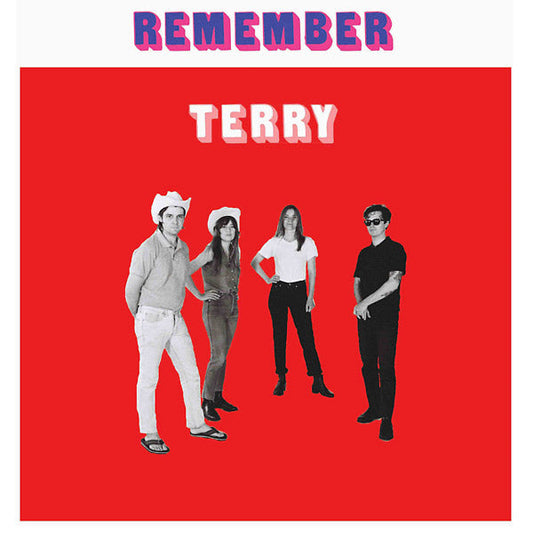 Remember Terry | Get Cheap Vinyl