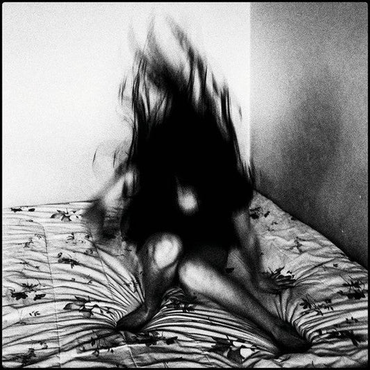 In Heat Not Sorry | Mint (M) Mint (M) Get Cheap Vinyl
