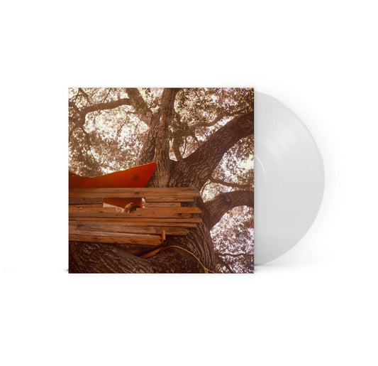 Waiting To Spill (Indie Exclusive, Clear Vinyl) | Mint (M) Mint (M) Get Cheap Vinyl